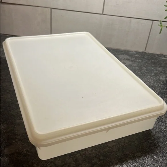 Vintage Tupperware deli keeper. Bacon, meats, cheeses.  Even veggies.