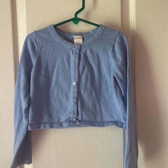 Gymboree blue sweater