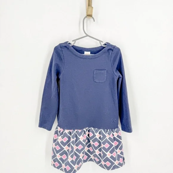 Gymboree Blue and Pink Long Sleeve Casual Dress