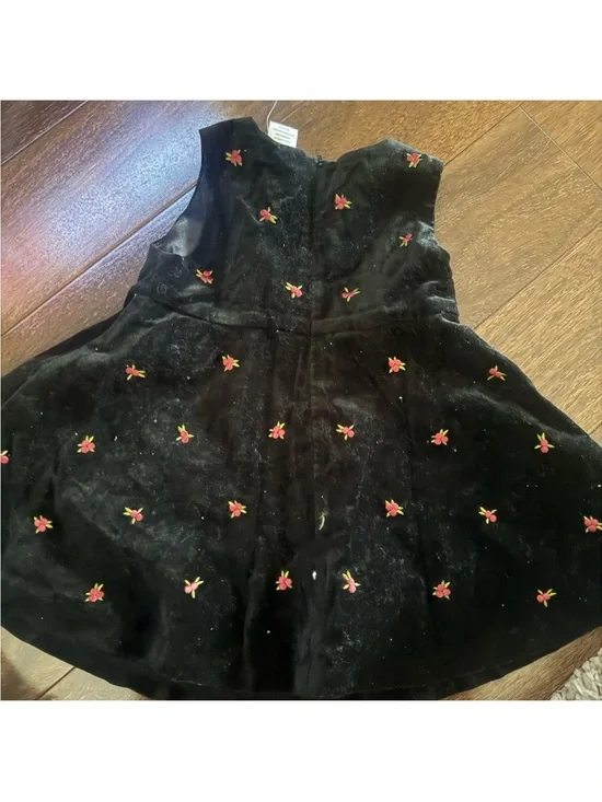 Gymboree Black Velvet Dress with red Floral Accents