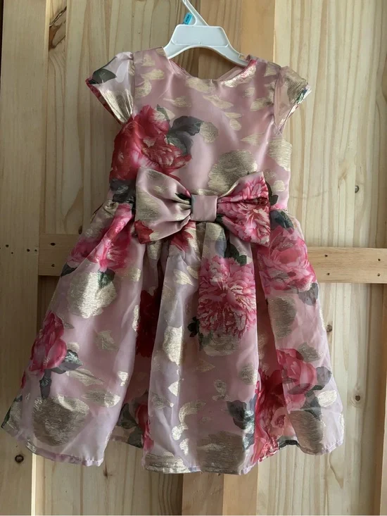 Gymboree Pink Floral Gold Accent Bow Dress