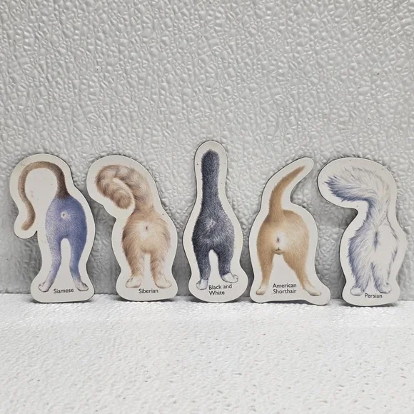 Lot Of 5 Cat Butts Funny Flat Magnets