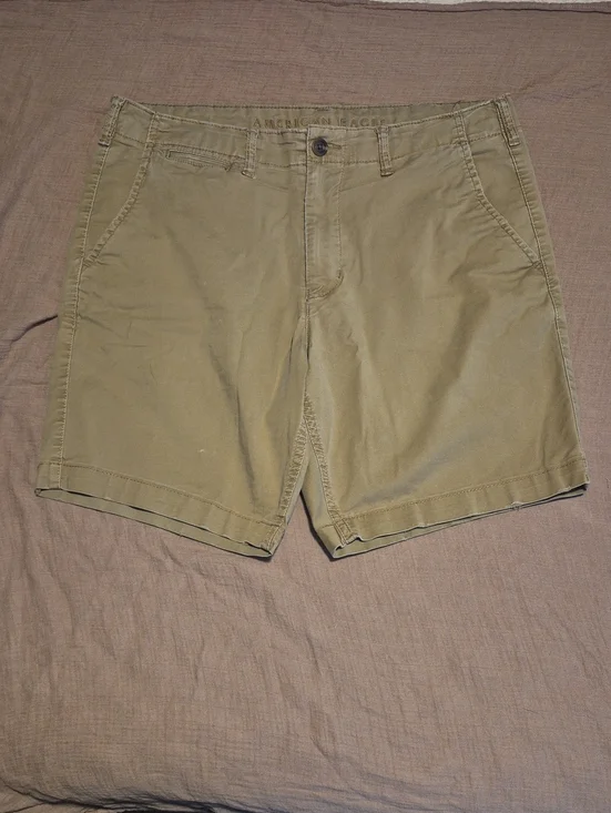 American Eagle Outfitters Men’s Olive-Tan Flat Front Shorts
