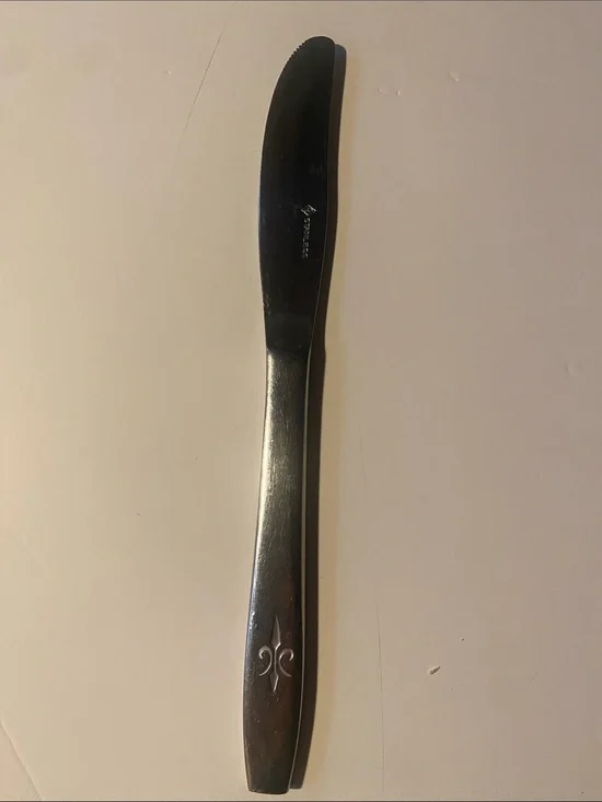 Stainless Steel Dinner Knife