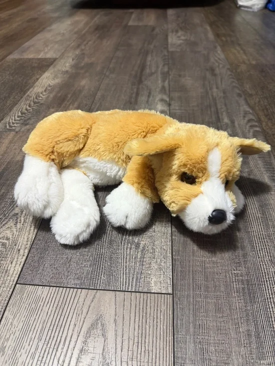Douglas Rudy Corgi 