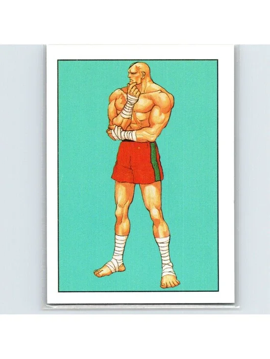 1993 Topps Street Fighter II Sagat #65