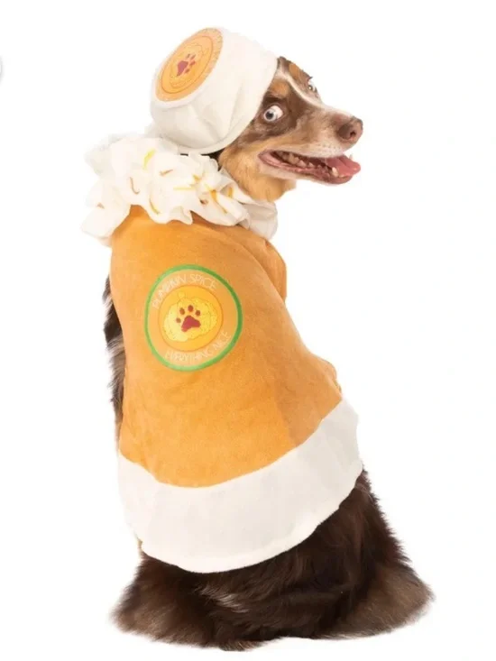 Rubies pumpkin spice dog dress up costume large