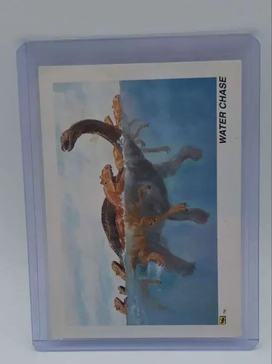 1992 DinoCardz #34 Water Chase Card