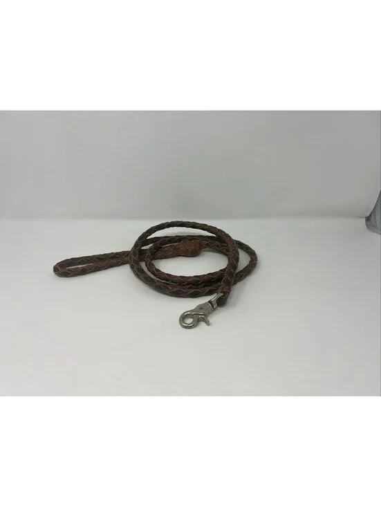Braided Brown Leather Dog Leash with Metal Clasp