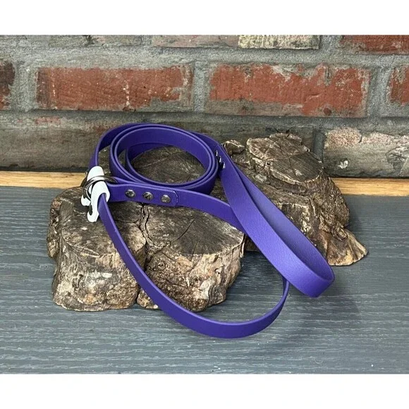 6’ Biothane Convertible Slip Dog Leash No Pull Harness or Head Halter 3/4