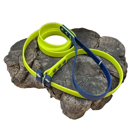 5.5’ Biothane Deluxe Slip Dog Leash - 5/8