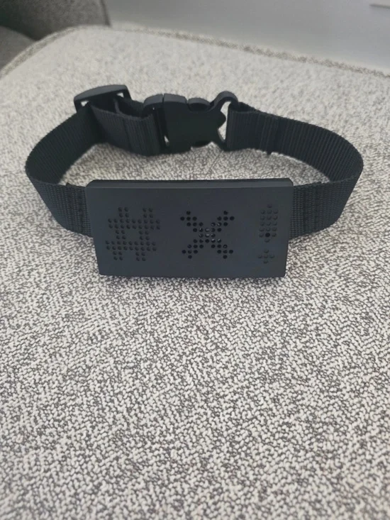 Bark Box Curse Collar for Dogs