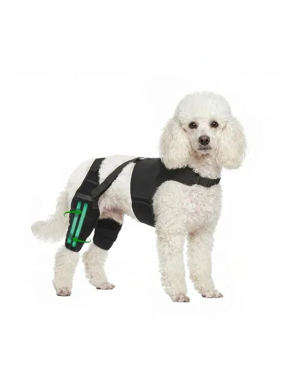 NWT Dog Knee Brace XS  for Back Leg Support,ACL/CCL  for Small Dogs