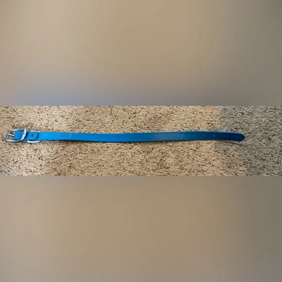 Teal Dig Collar Size 21 inches
