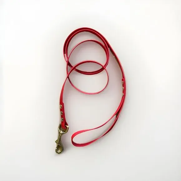 5’ Biothane Dog Leash - 1/2