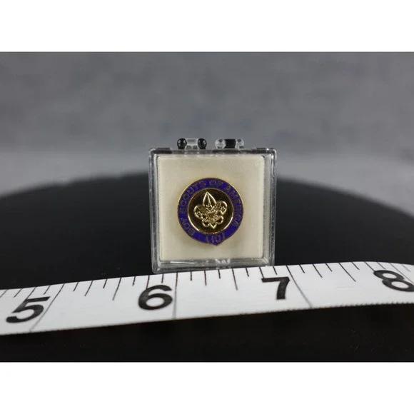 Boy Scouts of America Lapel Pin 10 Year Anniversary Emblem Gold Tone Blue Enamel