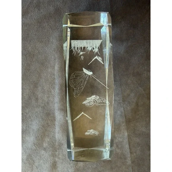 3D 3D Laser Etched Crystal Butterfly Life Cycle Paperweight Figurine 6.5
