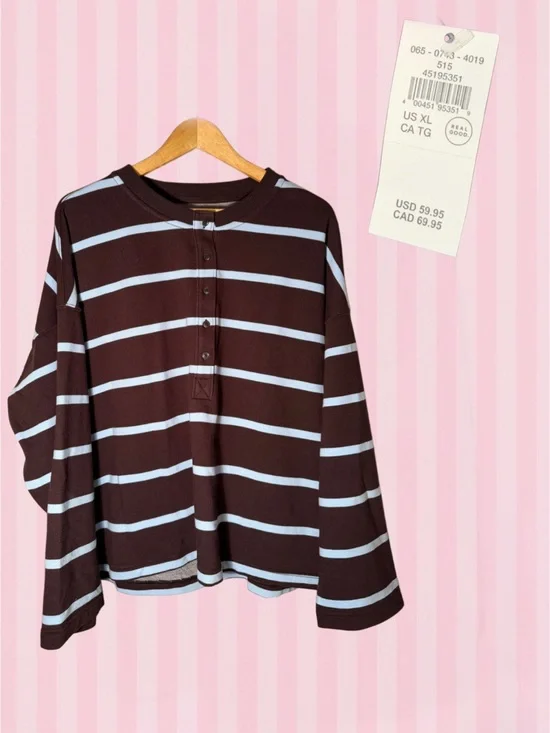 aerie Brown & Light Blue Striped Button-Front Long Sleeve Top
