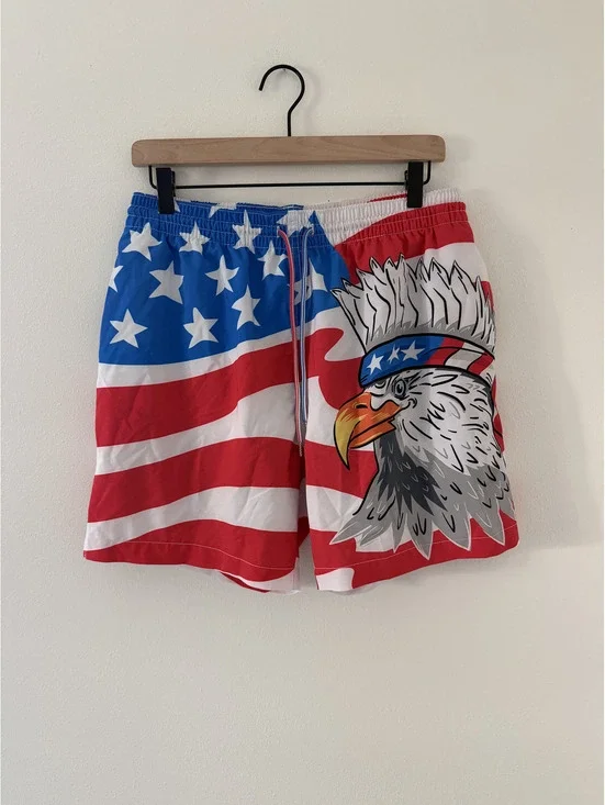 Chubbies The Eagle Scouts Patriotic American Flag Classic Lined Swim Trunk Large