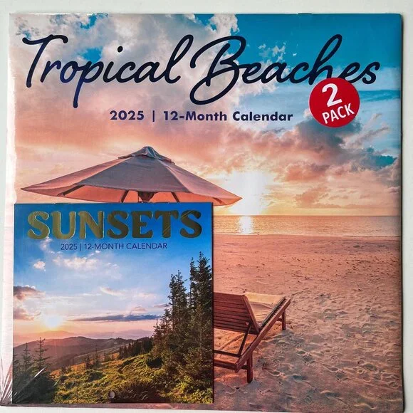 2025 Wall Calendar - Jan 2025-Dec 2025 Two Pack 12”x24” NEW