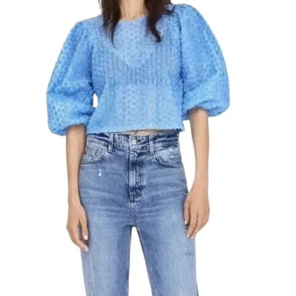 Zara Top Women's Small Blue Floral‎ Roae Bud Tulle Puff Sleeve Cropped Formal