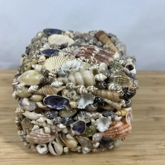 Coastal Collection Seashell Jewelry Trinket Box Beach Coastal Decor New w/ Tag