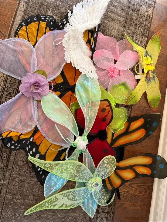 Assorted Decorative Fairy and Butterfly Wings - Multicolor Party Wings