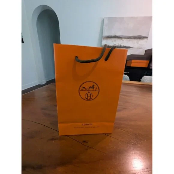 Hermes Luxury Orange Paper Shopping Bag With Rope Handles  8.5