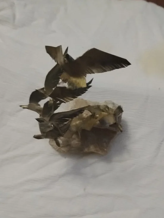 Bronze-Tone Flying Birds Sculpture Accent
