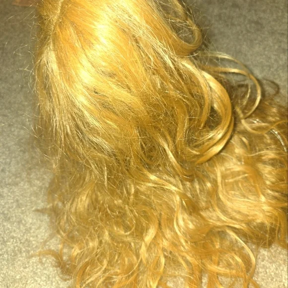 Blonde ombre wig