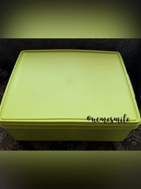 Tupperware  Margarita Green Jumbo Kimono Keeper