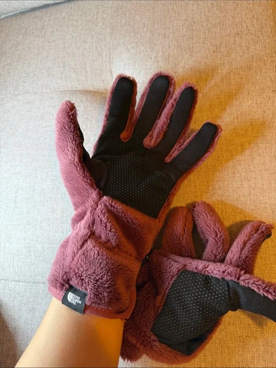 The northface gloves