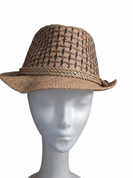Woven Straw Fedora Hat in Natural Brown with Braided Band