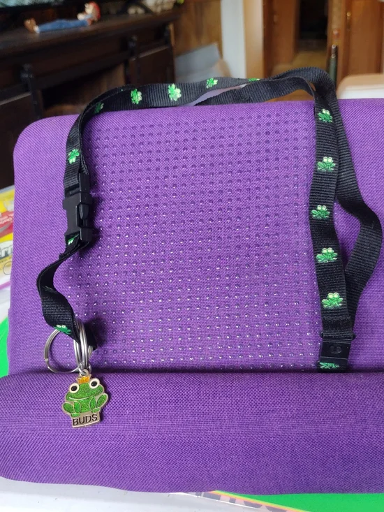 Kids Black Lanyard with Green Frog Charm -