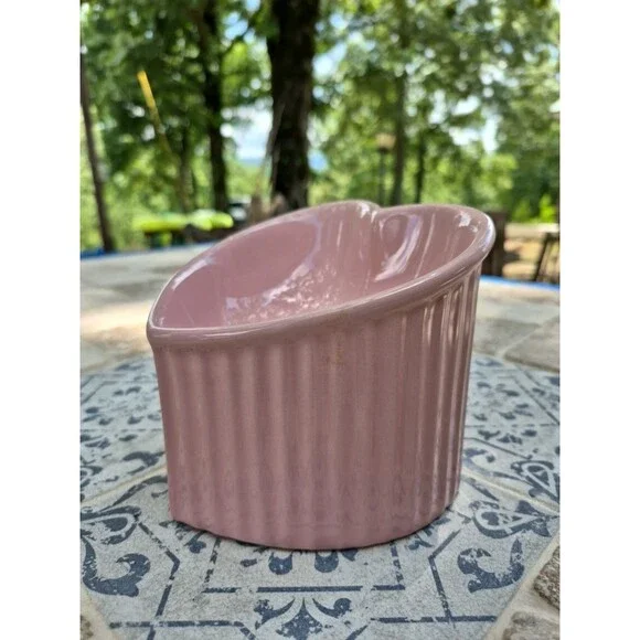 Ceramic Raised Cat-Bowls,Tilted Elevated Food or Water Bowls,Stress Free Mauve