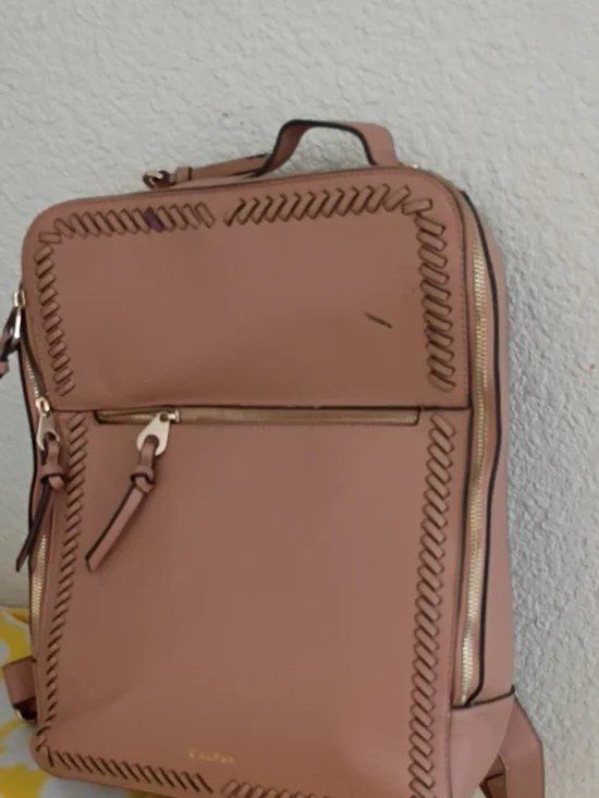Calpak Blush Pink Woven-Edge Backpack with Gold Hardware