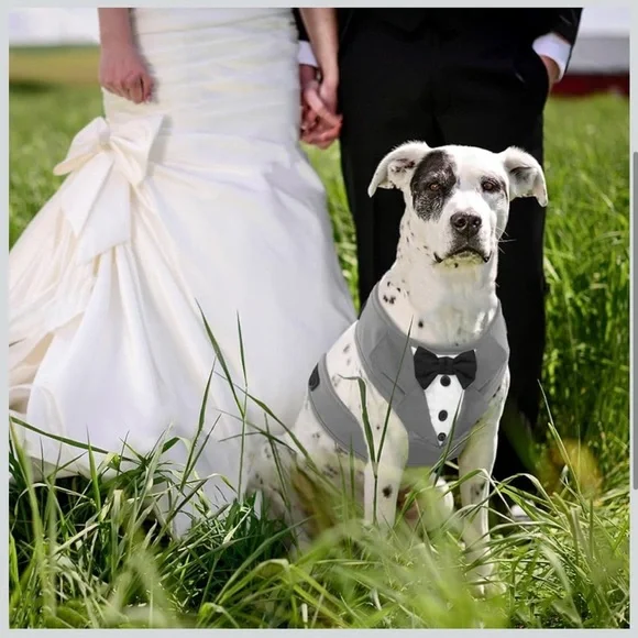 Gray Tuxedo Dog Harness. Adjustable and‎ No Pull.Wedding Suit or Costume