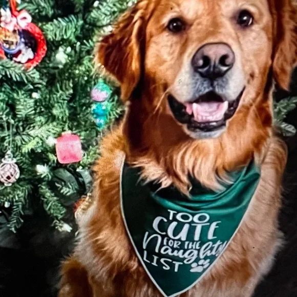 DOG TIE ON BANDANA CHRISTMAS EMBROIDERED 