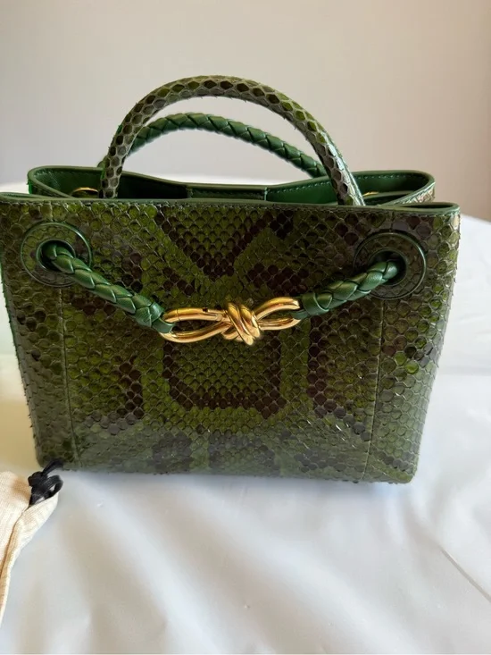 Bottega Veneta Green Python Bag Rare Only 15 made NEW Milan - unavailable in US
