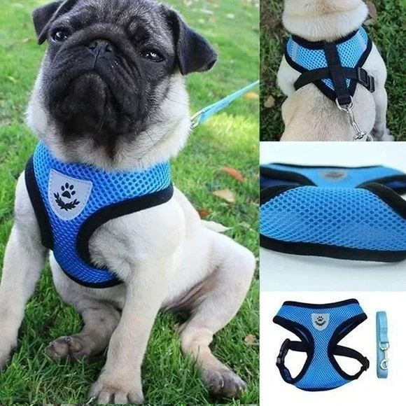 Blue Breathable Mesh Pet Harness and Leash Set Reflective Vest Medium Dog Cat