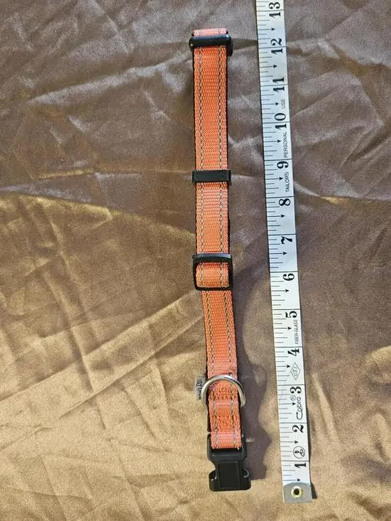 Orange Adjustable Nylon Pet Collar with Buckle and D-Ring