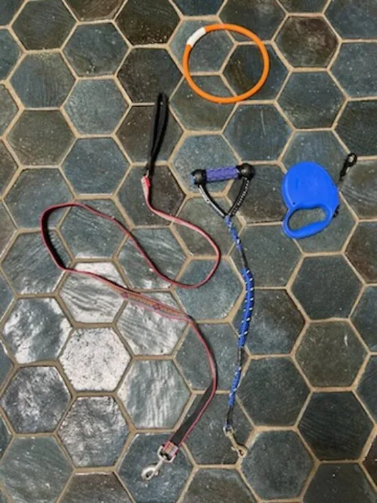 Dog Leashes plus light collar