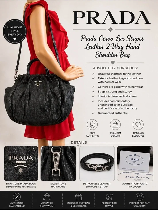 Prada Cervo Lux Stripes Leather 2Way Hand Shoulder Bag