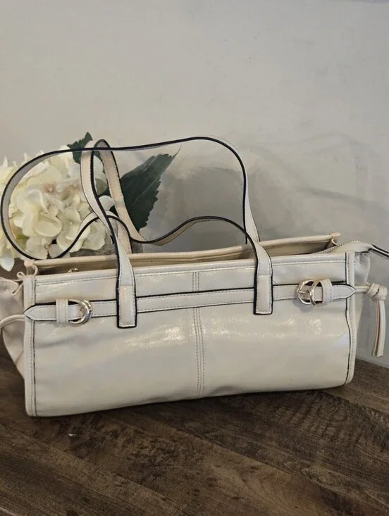 ALDO Lazarosx Bag