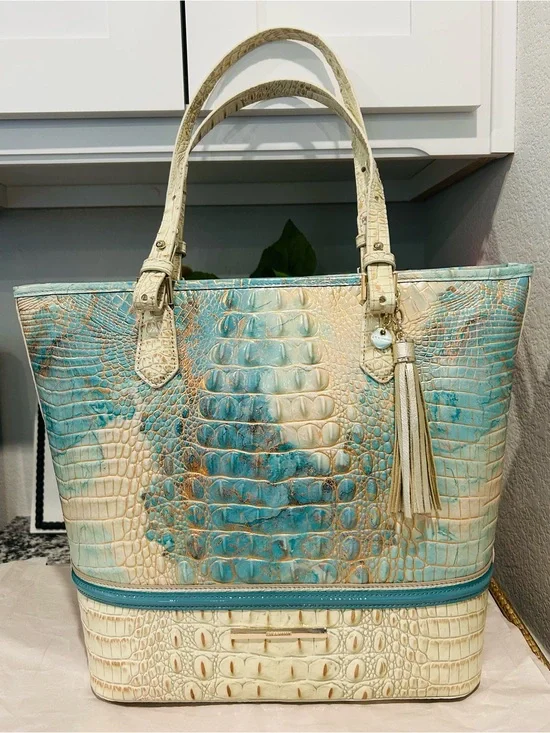 Brahmin Serendipity Schulz Asher Tote with Tassel