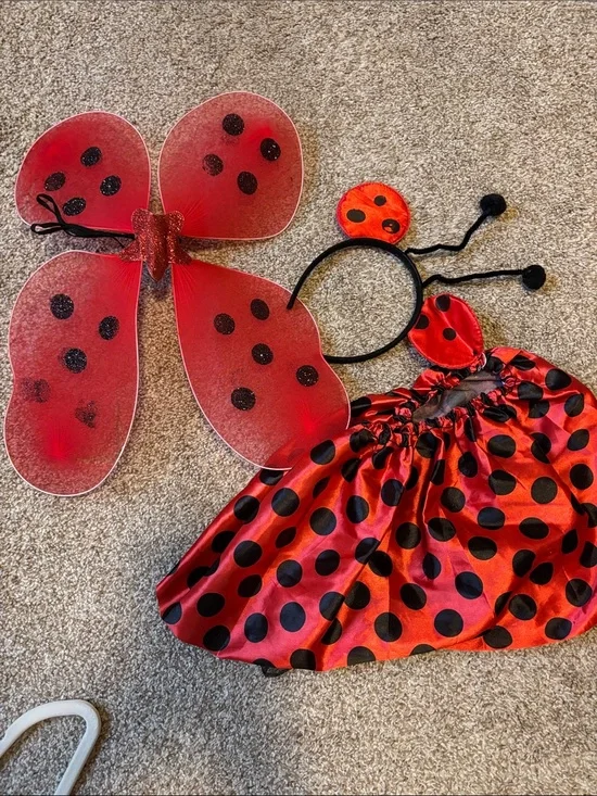 Kids Ladybug Costume Set - Red & Black Skirt, Headband and Wings