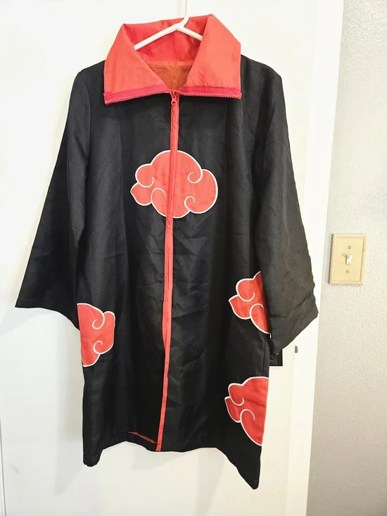 Akatsuki organization in Naruto Shippuden
