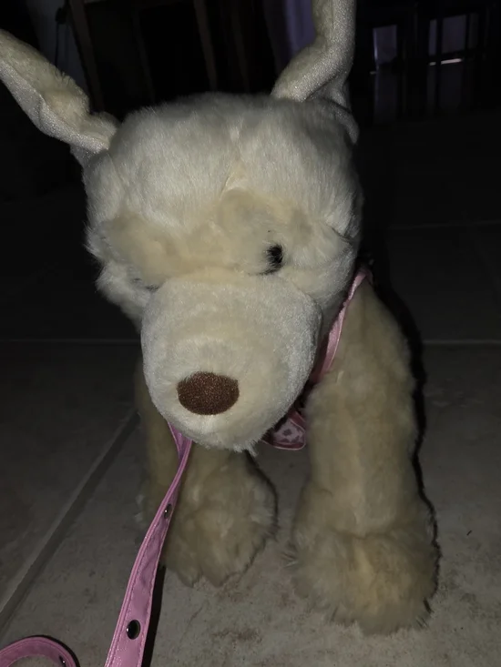 Build-A-Bear Cream Plush Dog  Pink Leash & 2 Pc Outfit $48 EUC