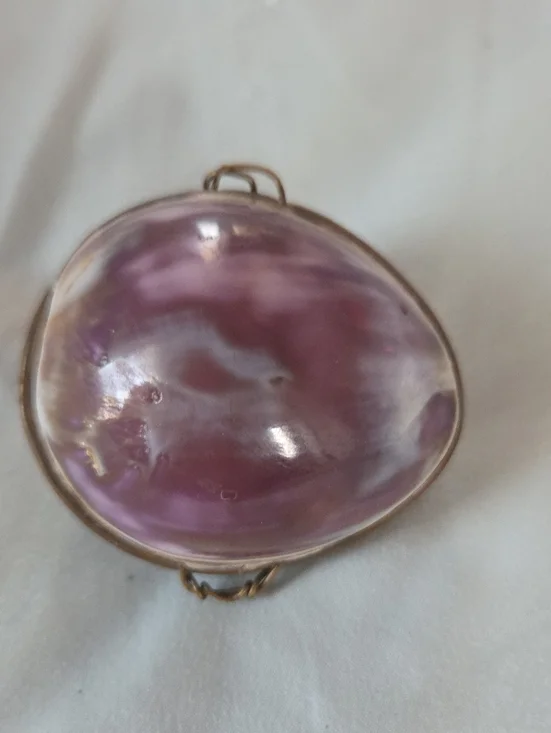 Purple Vintage Shell Coin Brass Purse