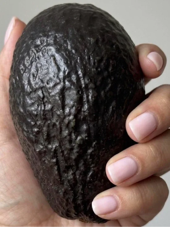 Avocado Coin Purse Made in Mexico – Cute Funny Novelty Change Pouch Black Avocad
